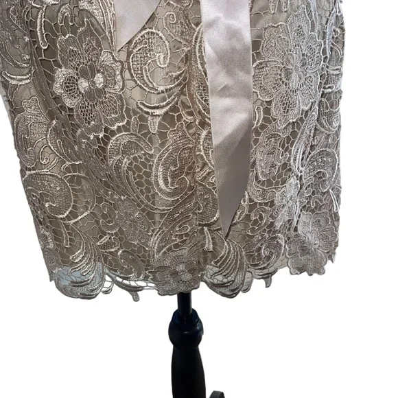 Adrianna Papell Boutique Women’s Sheath Dress Champagne Lace Over Lay Size 8 - Picture 10 of 10